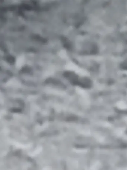 MoistWorm4468의 노는데..