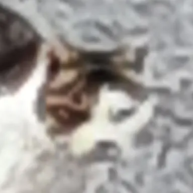 Profile image of 재훈