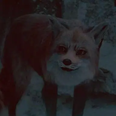 Profile image of キツネ