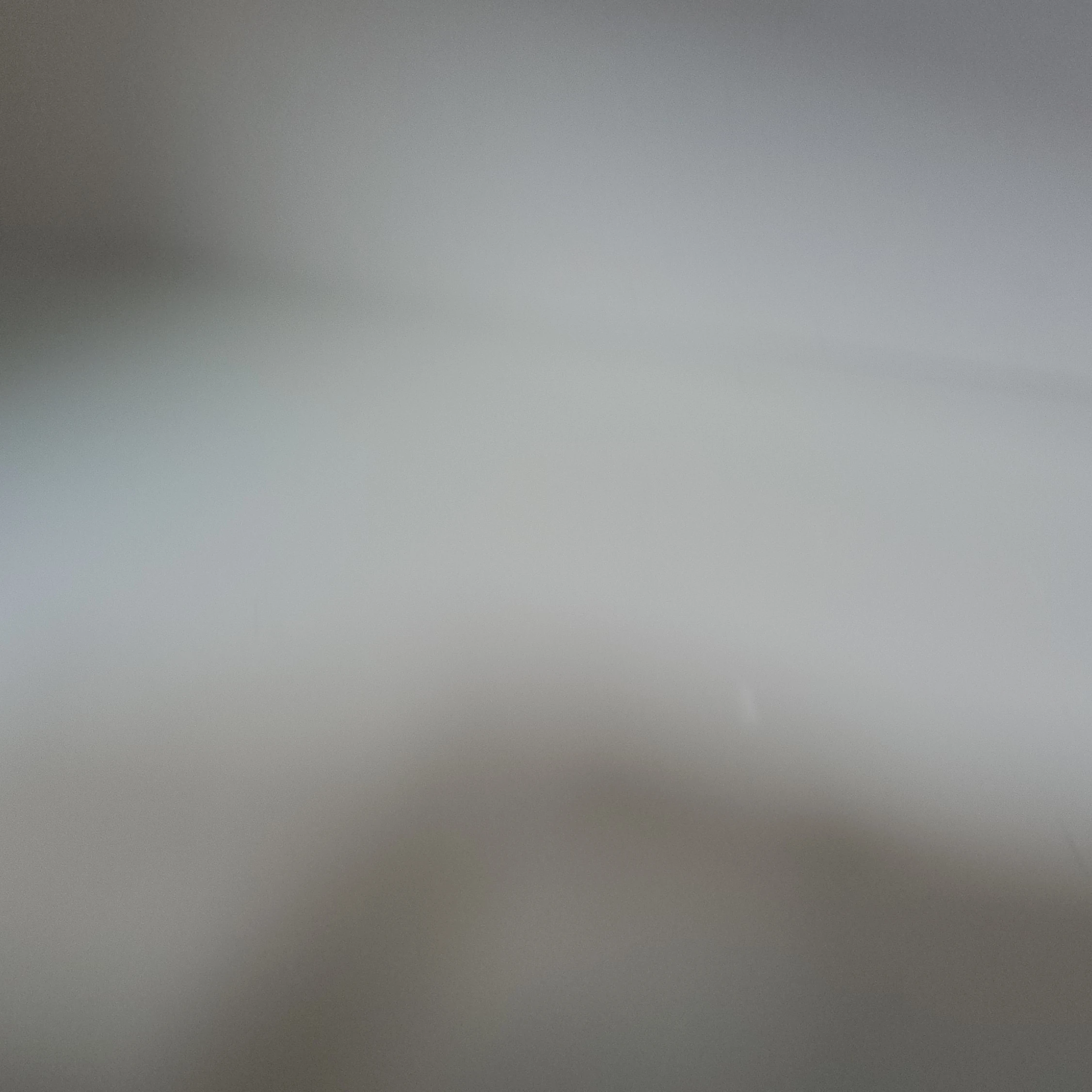 레이첼