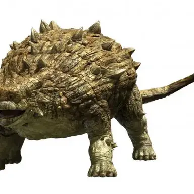 Profile image of 안킬로사우루스