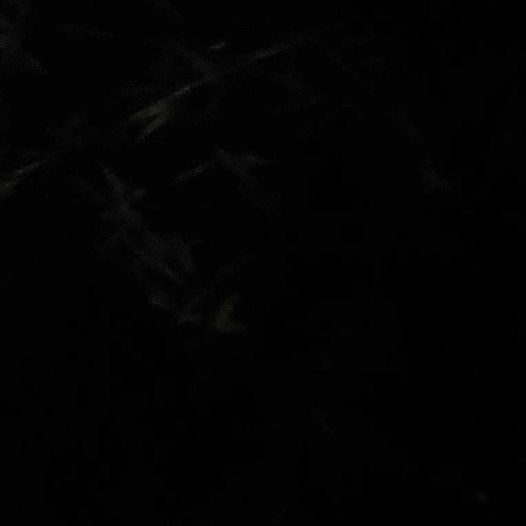 범규