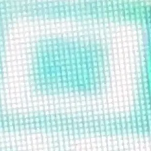 Profile image of ブリ子