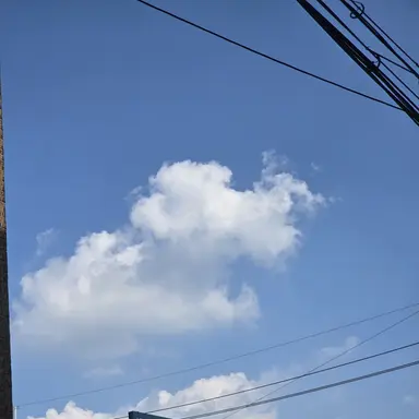 Profile image of 로아