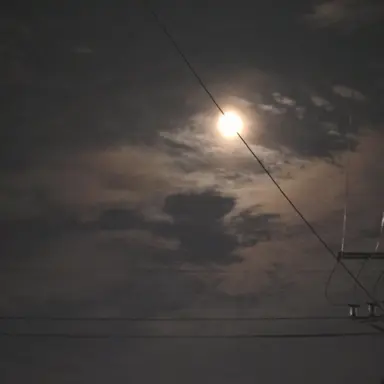 Profile image of 준하