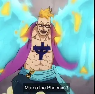 Profile image of Marco