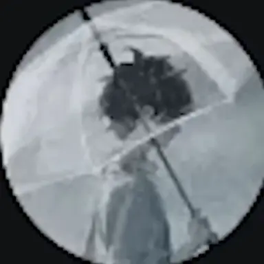 Profile image of 라온