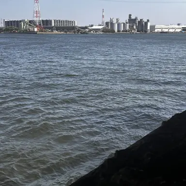 Profile image of りん