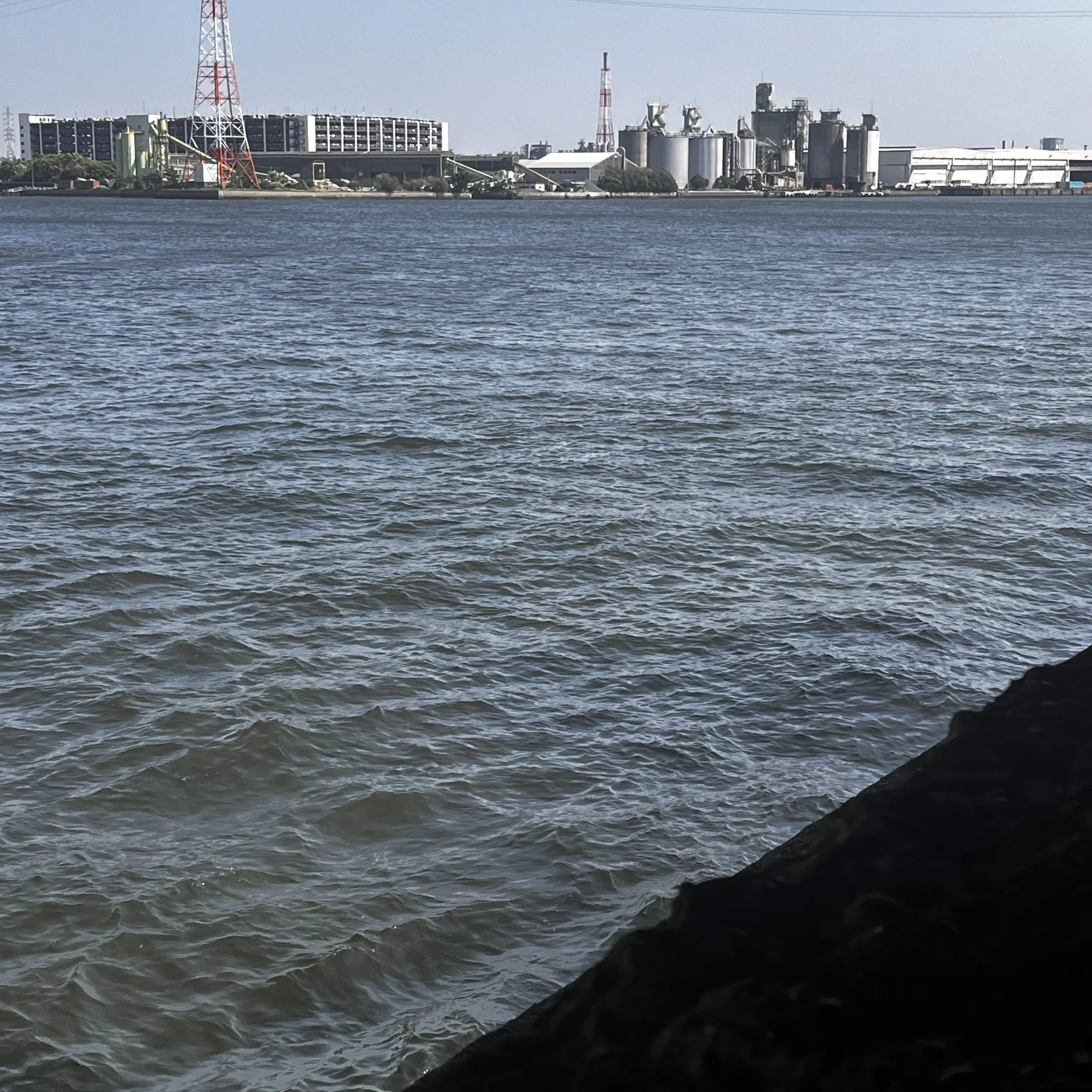 GreedyPad1291의 酷くされるのがいい