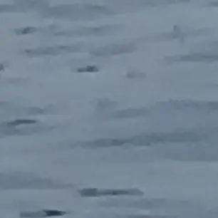 Profile image of 잠뜰