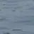 잠뜰