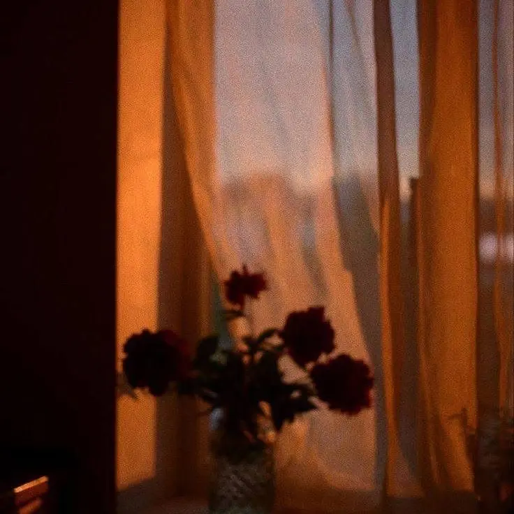 PinkBrug1666의 하루토