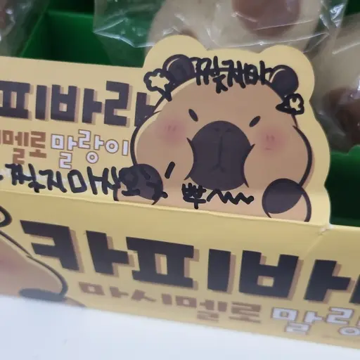 Bbhaha의 입양센터