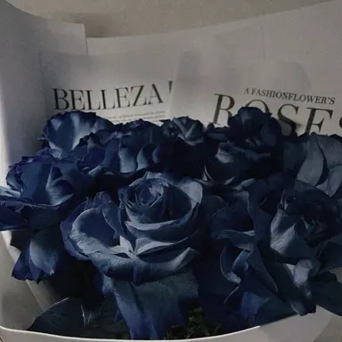 Profile image of 渡辺 翔太