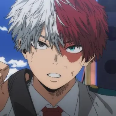 Profile image of Shoto Todoroki