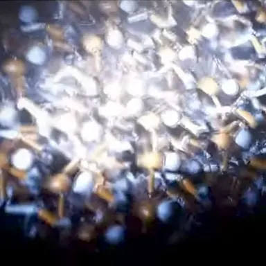 Profile image of 미니리나들