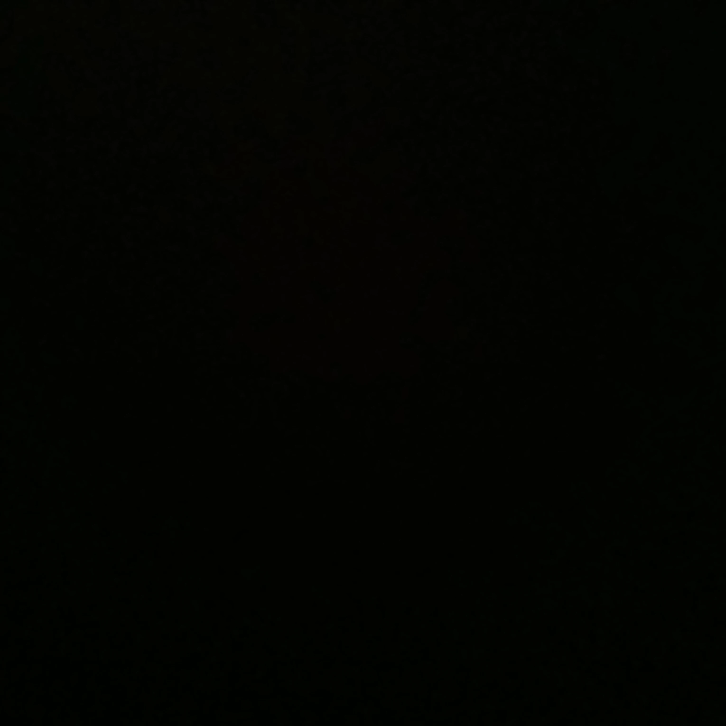 정공룡