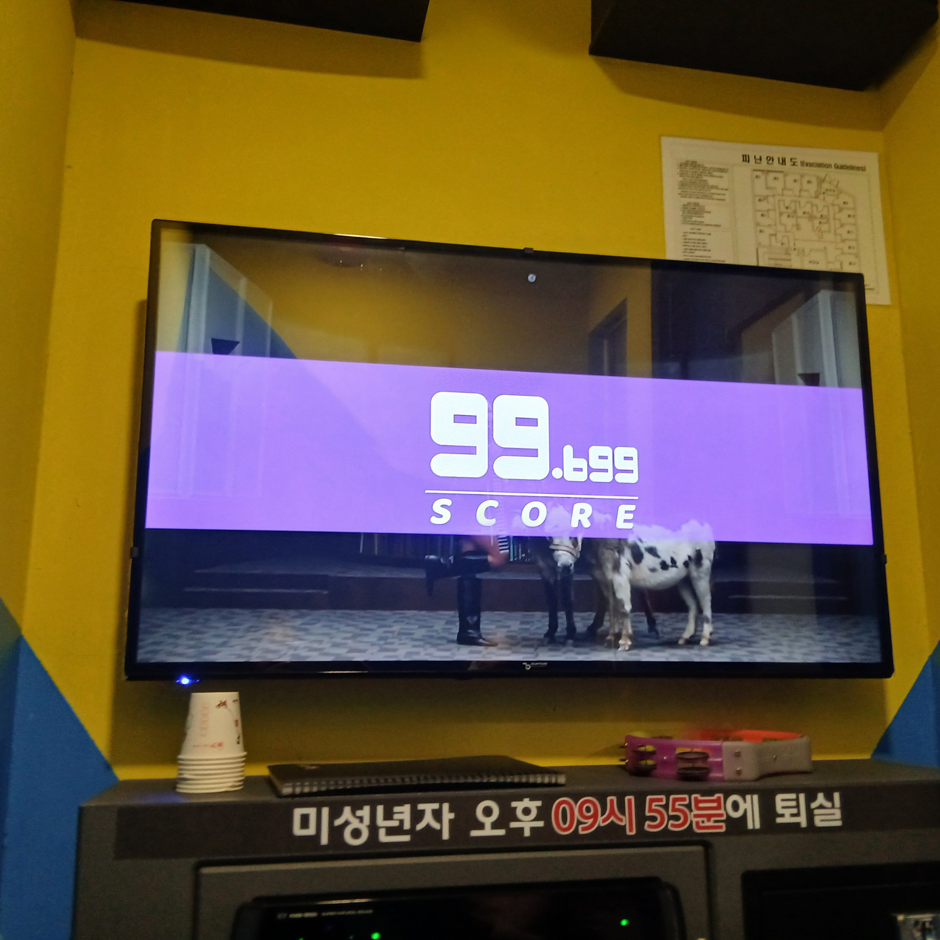 꽥탐+여우,늑대 대표 이미지