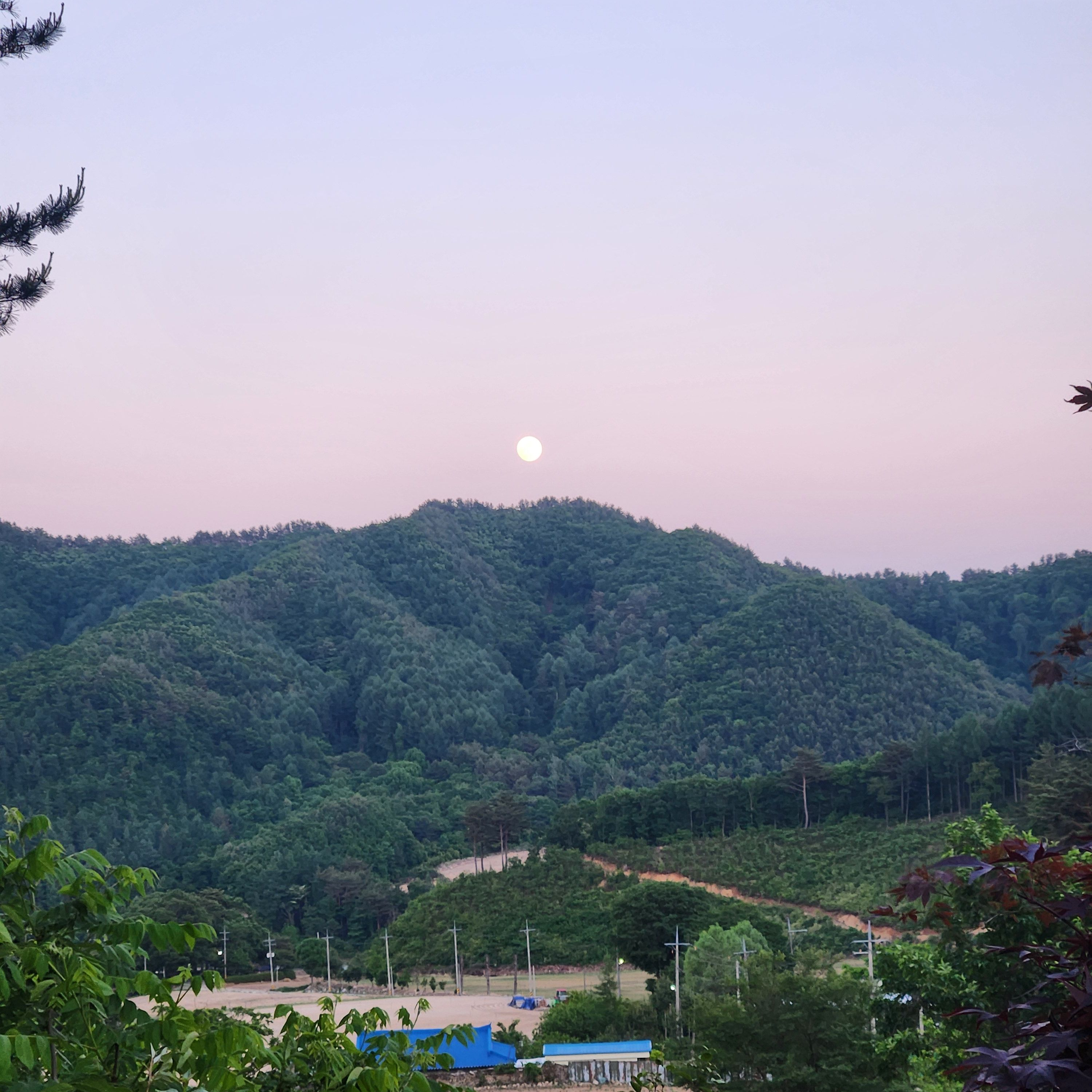 대저택+팀나빠 초능력학교 대표 이미지