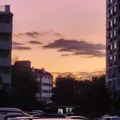 Profile image of 로희