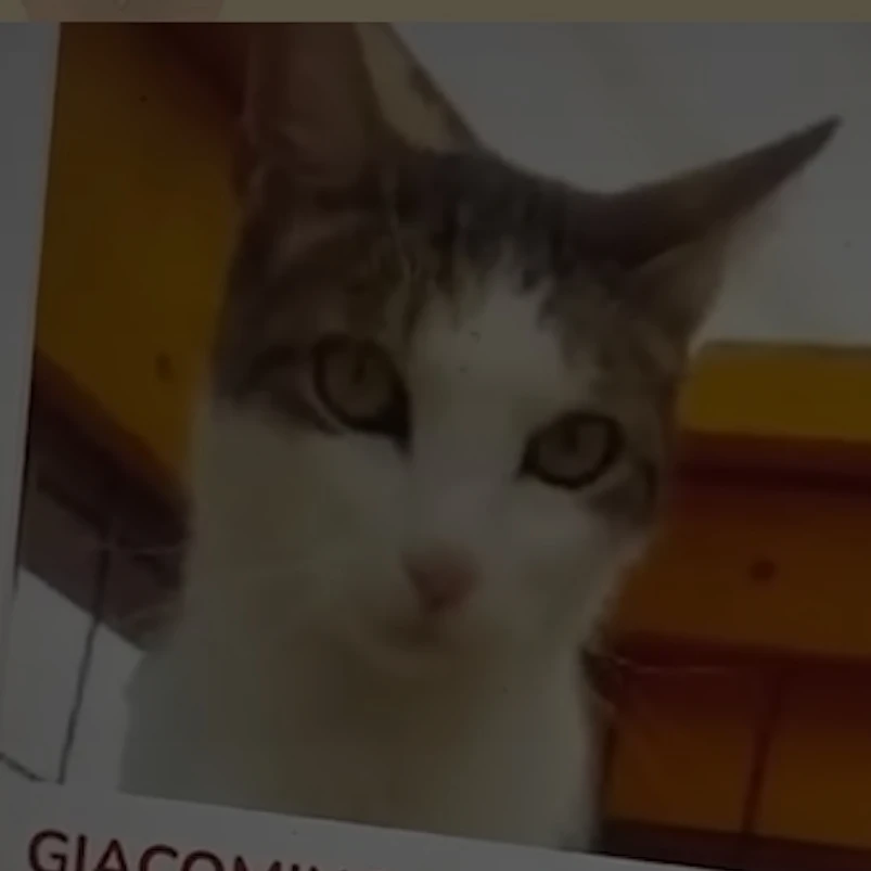giacomino guardiano delle galassie e dell'iperspaz
