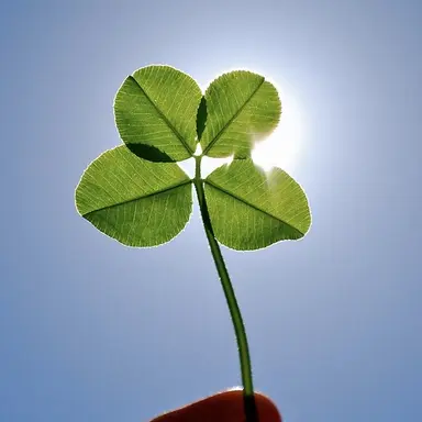 Profile image of 민호