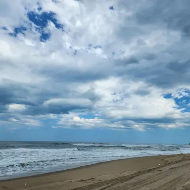 Profile image of 리온