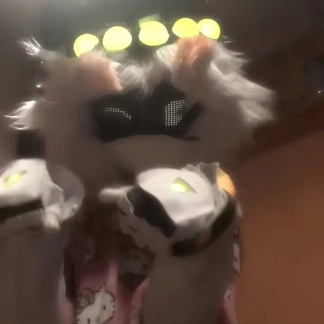 SerialDesignation_N의 N IS A FURRY?!?!