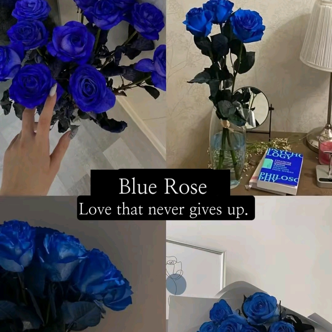 윤도운 대표 이미지