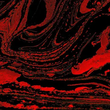 Profile image of アキ