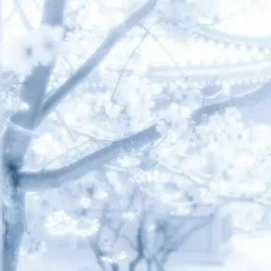 Profile image of 박잠뜰