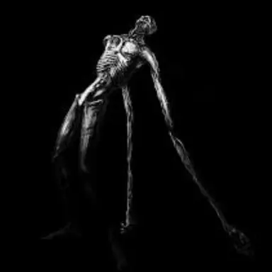 Profile image of Duller