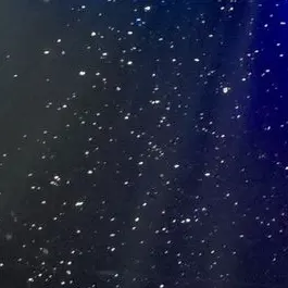 Profile image of 유태민