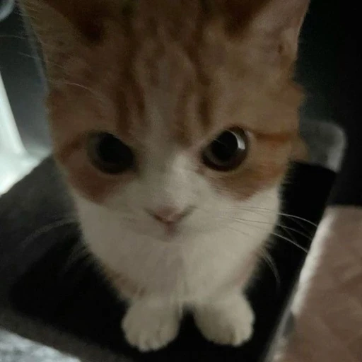 이민호