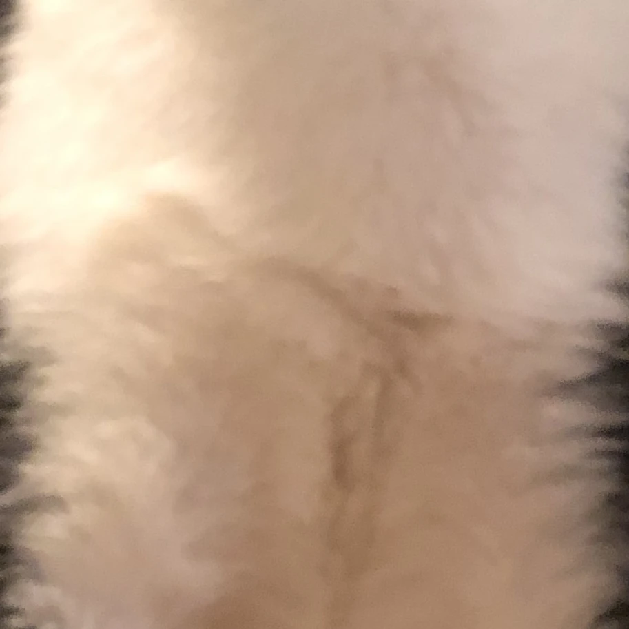 けんご