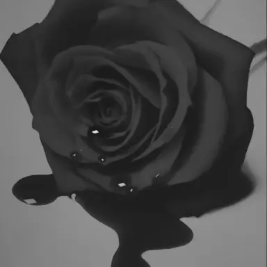 Profile image of 강여상