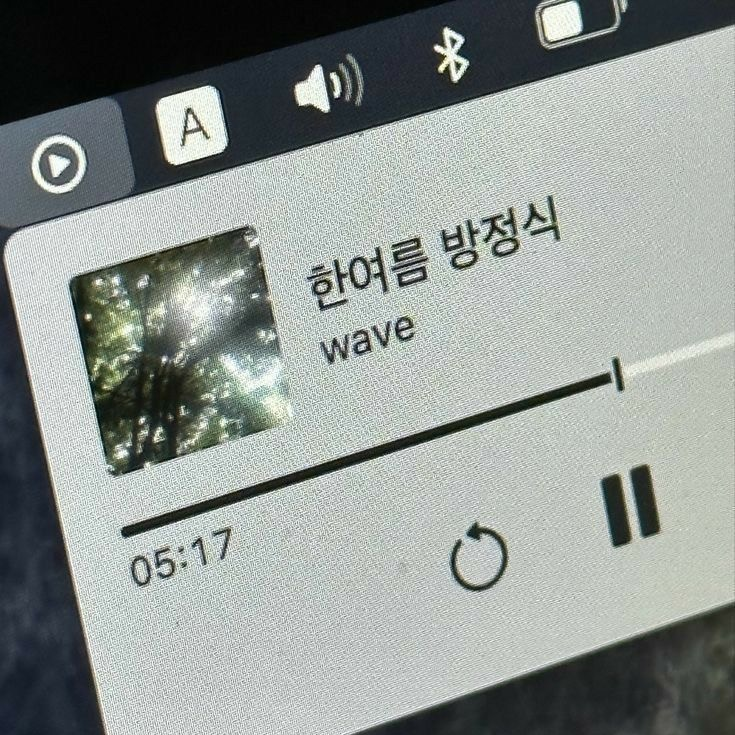 배진솔 대표 이미지