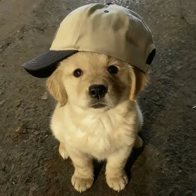 Profile image of 김지우