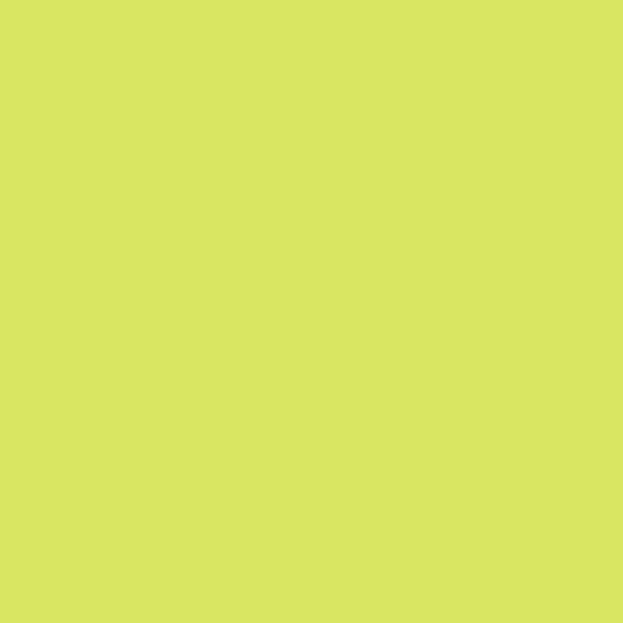 BoredPaint3339의 샤인머스캣맛 쿠키