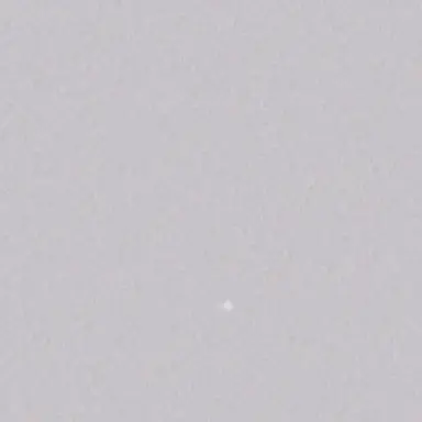 Profile image of 中宮定子