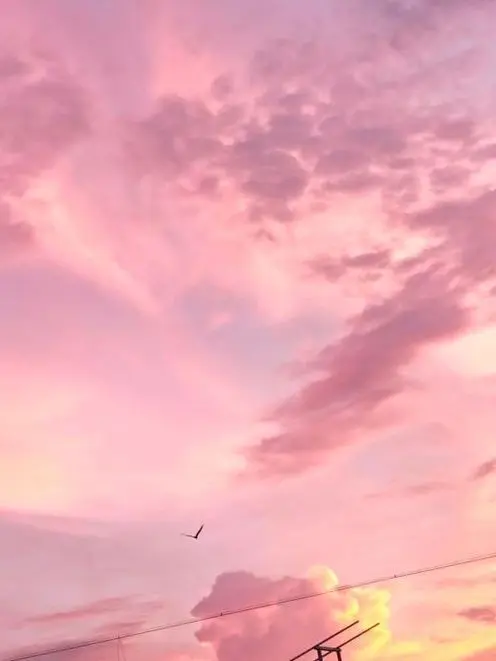 rikk의 芸能界引退した推しが隣人？！