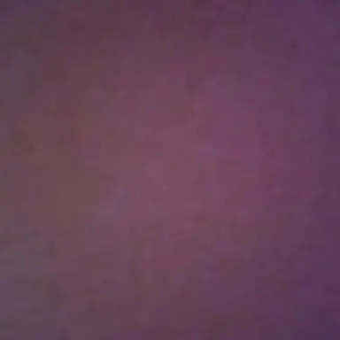 Profile image of 이다인