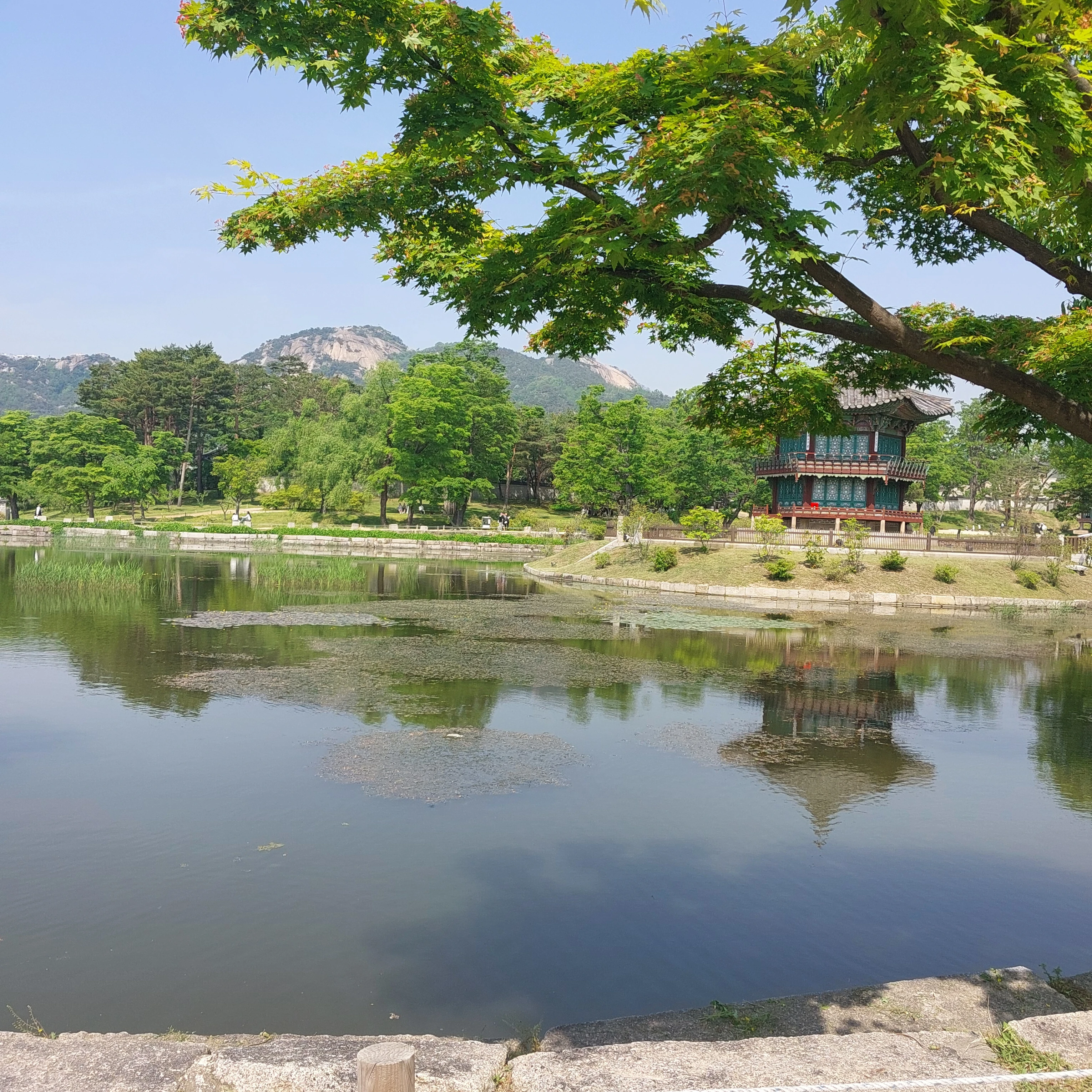 텐코 시부키