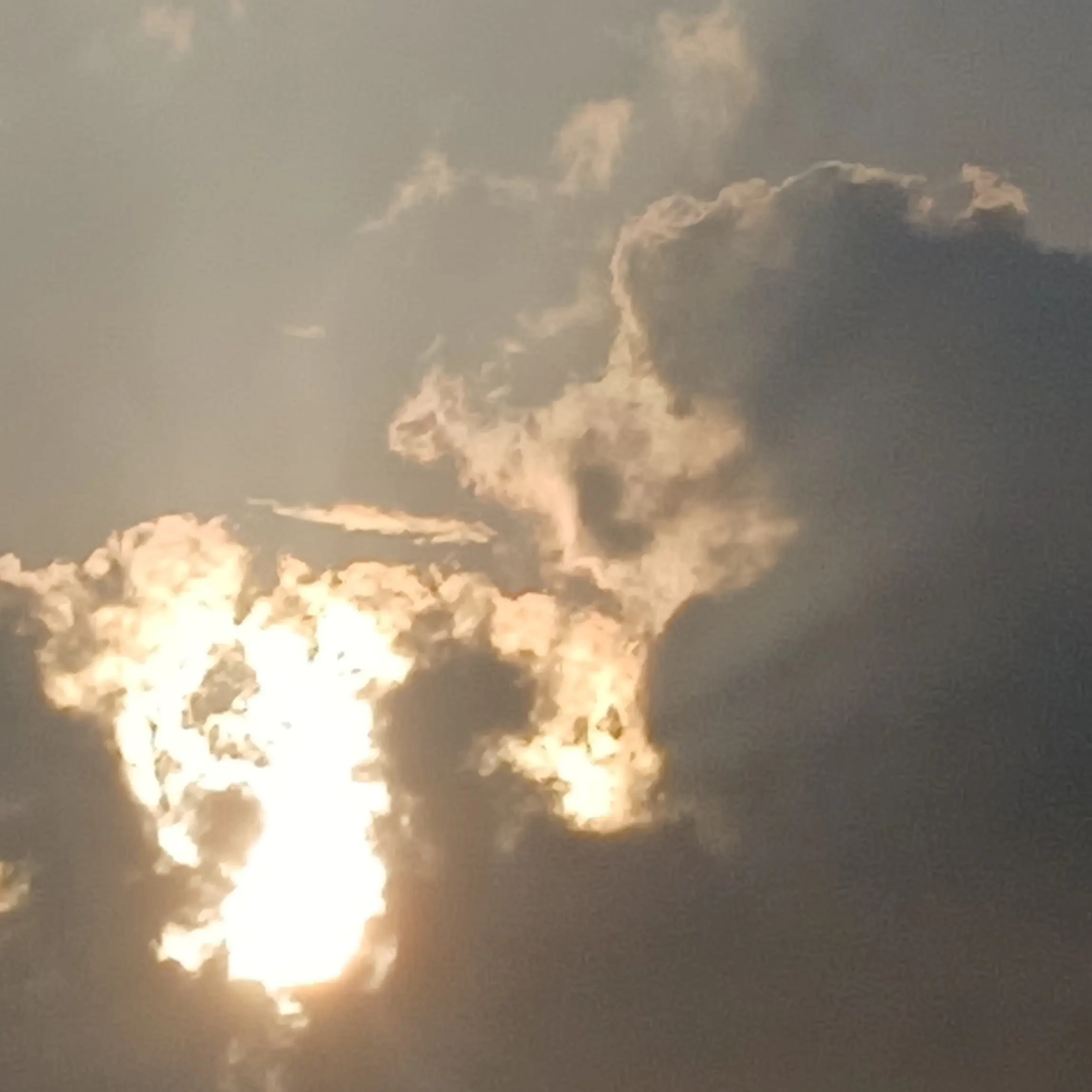 RoughZebra4386의 고고프렌즈(근데여우)