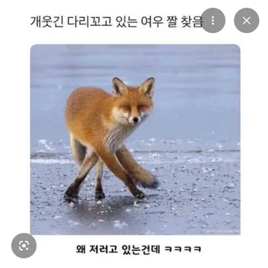 Profile image of 여우