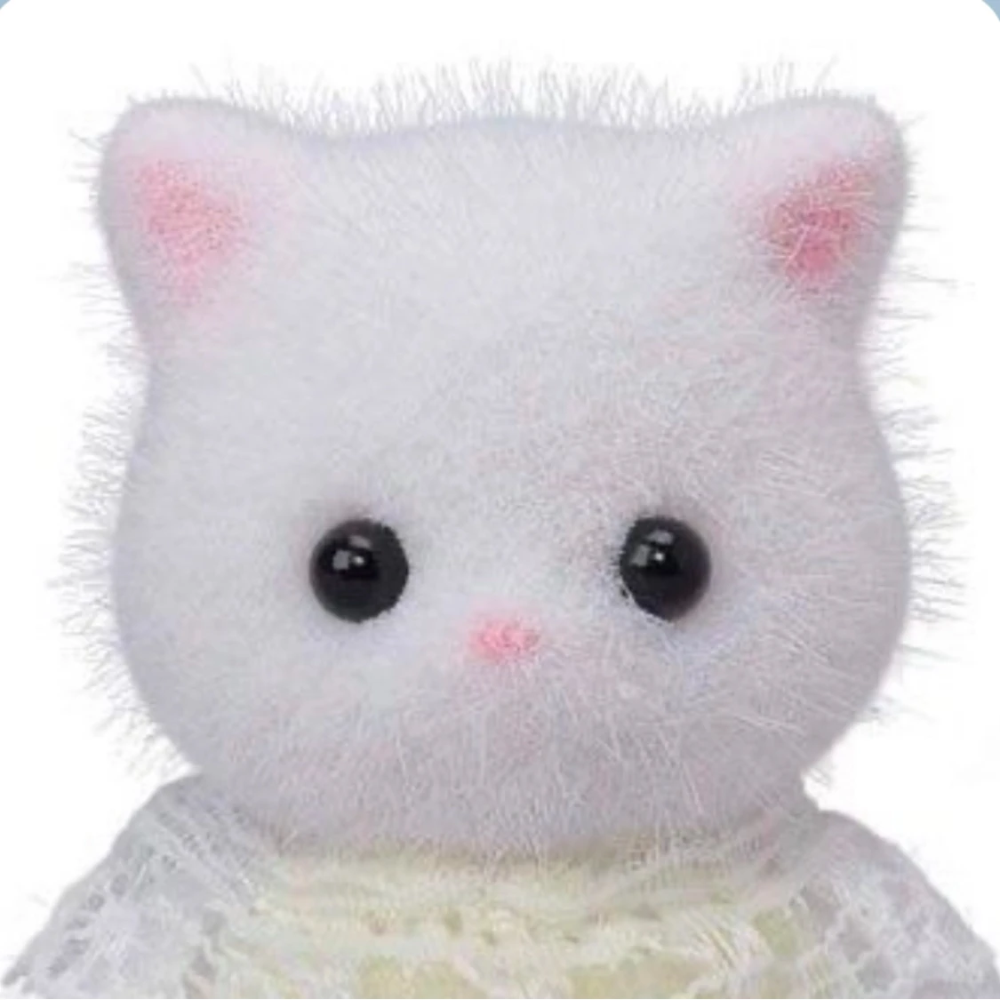 실바니안 고양이
