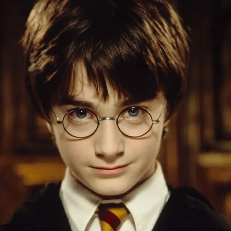 BiasedPad6088의 ハリー達と同居!?