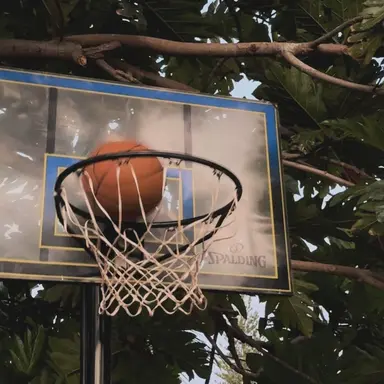 Profile image of 예엥