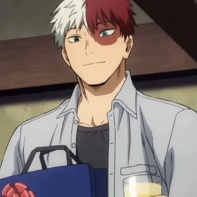 Profile image of Shoto Todoroki