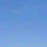 Profile image of 21세기 대군부인